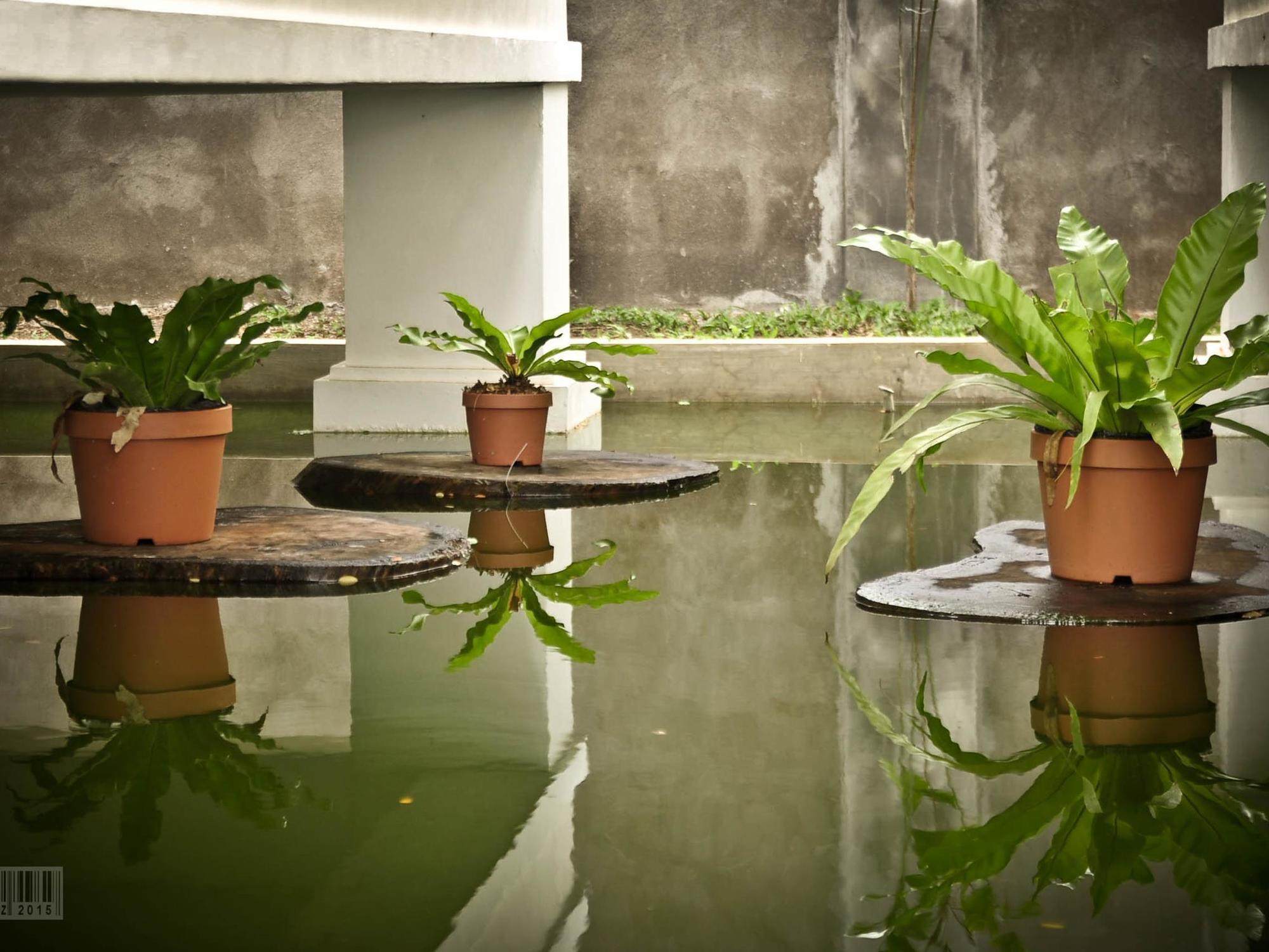 Cleon Villas Pension Puerto Princesa Exterior photo